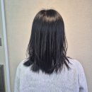 살롱드 청춘 | 제주미용실 단발병 도져서 다녀온 이도이동 살롱드청춘 커트후기