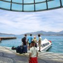 수영하나약국 이미지