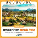 불갑농촌테마공원 | 부모님과 방문하기 좋은, 영광 볼거리 가득한 힐링 관광지 best 4!