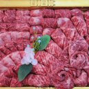 고기 백화점 이미지