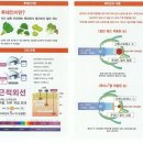 트랜디카안경 이미지