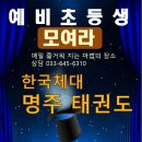 한국체대 명주태권도 이미지