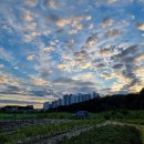 화영농장 이미지