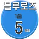 블루로즈 이미지
