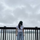 정직유부화정점 이미지