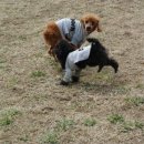 도기도기펜션 이미지