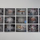 피카소 동물병원 | [미국/뉴욕] MOMA 현대카드 무료입장 및 지도, 오디오 가이드 이용 후기