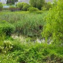 봉골목장 이미지