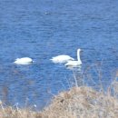 세종환경 이미지