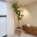 명품스토리 이미지