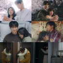 한국펫주식회사 | 디즈니/드라마/뮤지컬 덕후의 덕질존 덕후타워 변천사 (번개장터&amp;당근 바로구매)