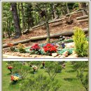 택수목장 이미지