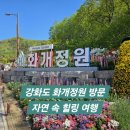화개파크 | 강화도 화개 정원 교동도에서 만난 아름다운 정원과 전망대