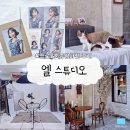 이네누헤어리더 | [부산 동구] 부산 초량 증명사진, 프로필 사진 맛집 &#39;엘 스튜디오&#39; 후기