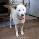 즐거운 사진 생활 이미지