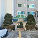 반도보라 이미지