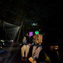 살찌는집 | 살찌는 가을, 낭만 캠핑 후기