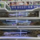 바다수산대게마트 | [울진 맛집] 바다수산대게마트