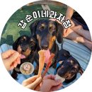 갑순이네 과자점 이미지