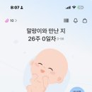 차휴 - 서구 관저중로84번길 24 | [임신26주차] 산본제일병원 임당 재검 후기(휴 한시름 놓았다!)