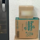 죽전1,2통 | [31개월, 18개월] 기저귀 뗄 준비하기 👋🏻