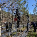 군위군농업기술센터 이미지