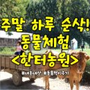 [용인] 육아와 카페 모두 즐길 수 있는 한터농원