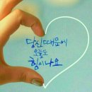 지혜의 소나기 이미지