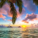 아름다운 지상낙원 하와이의 의미 이미지