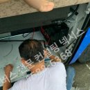 충남체육고등학교 이미지