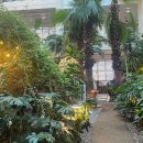 🌿 송도 포레스트아웃팅스 카페 디저트 리뷰+방문 꿀팁 🌿