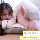 선아