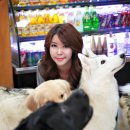 카페독스 이미지