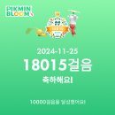 11월 마무리