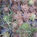 한주농장 이미지