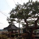 옥종면사무소 이미지