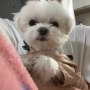 국민삼겹살천매점 이미지
