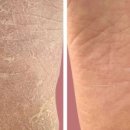 닥터페디 노원점 이미지