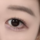 지지팔레트 | 여름 뮤트 인생팔레트 홀리카홀리카 마이페이브 무드 아이팔레트 13 얼모스트그레이프 솔직후기