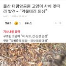 울산 대왕암공원 고양이 사체 잇따라 발견…"약물테러 의심" 이미지
