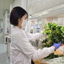 광주유통 이미지