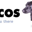 라이코스 이미지