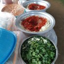 송산표고버섯