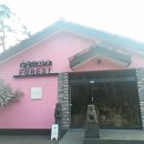 숲을 그리다 이미지