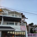 누나펜션 | 통영 애견동반펜션 [하하호호프렌드] A202호 내돈내산 후기!