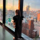 동화빌딩(파라다이스빌딩) | 도쿄 가족 여행 후기 - 시부야 전망대, 산리오 퓨로랜드, 센소지 방문기