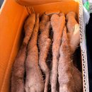 동윤농장 이미지