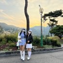 강촌실내골프연습장 이미지