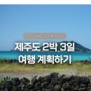 [제주도] 2박 3일 제주여행 준비 | 관광 맛집 카페