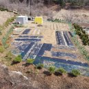 재주농장 이미지